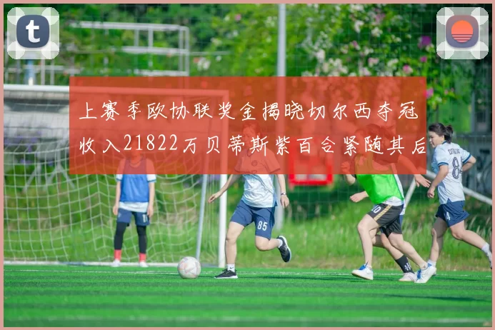 上赛季欧协联奖金揭晓切尔西夺冠收入21822万贝蒂斯紫百合紧随其后