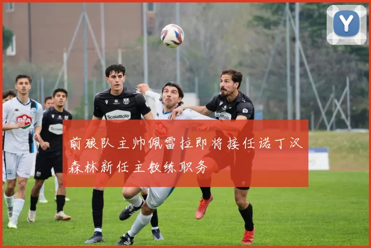 前狼队主帅佩雷拉即将接任诺丁汉森林新任主教练职务